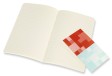 Блокнот Moleskine VOLANT Large